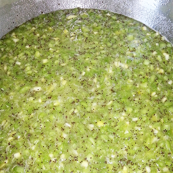 kiwi jam 2