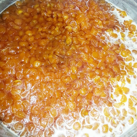 melon jam with pineau 2