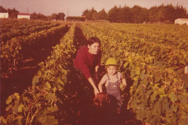 famille-pinard-generation-vignoble-1