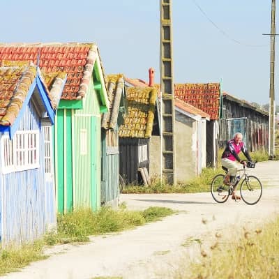velo-ile-d-oleron-proche-gite