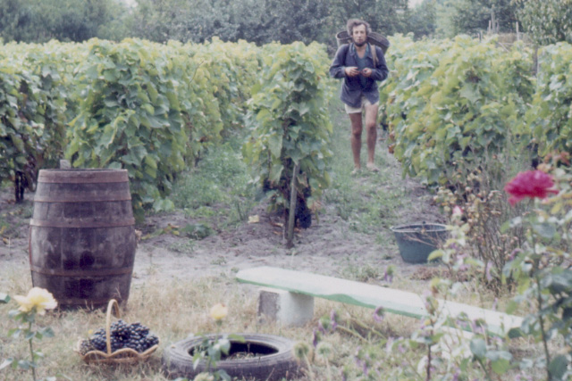 vigneron-antan-maxime-pinard